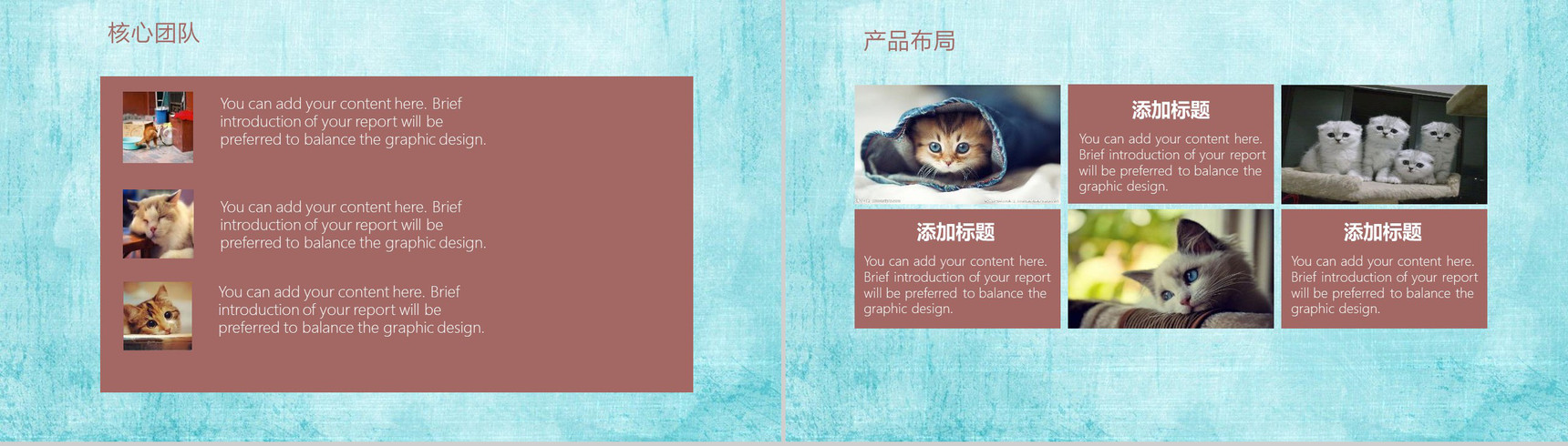 可爱宠物行业企业宣传PPT模板-7