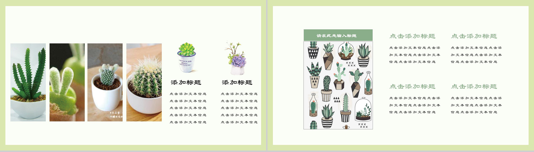 清新仙人掌工作总结植物PPT模板-4
