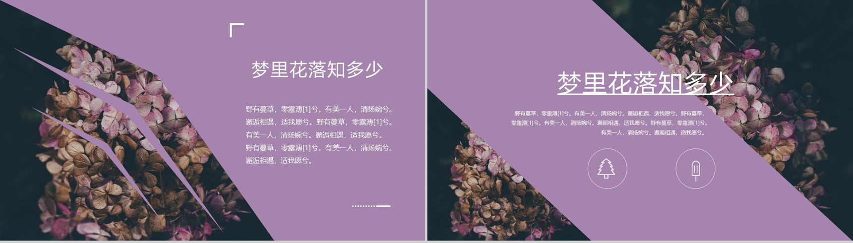 欧美大气杂志风梦里花落知多少PPT模板-11
