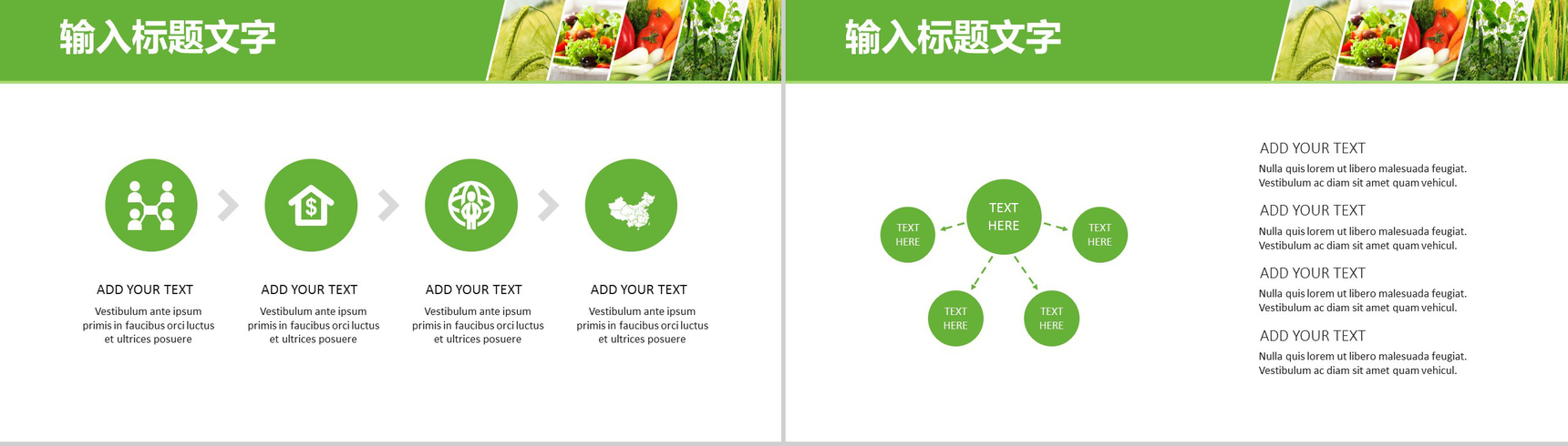 简约大气绿色农产品背景优势介绍培训创意环保食物基地介绍宣传PPT模板-7