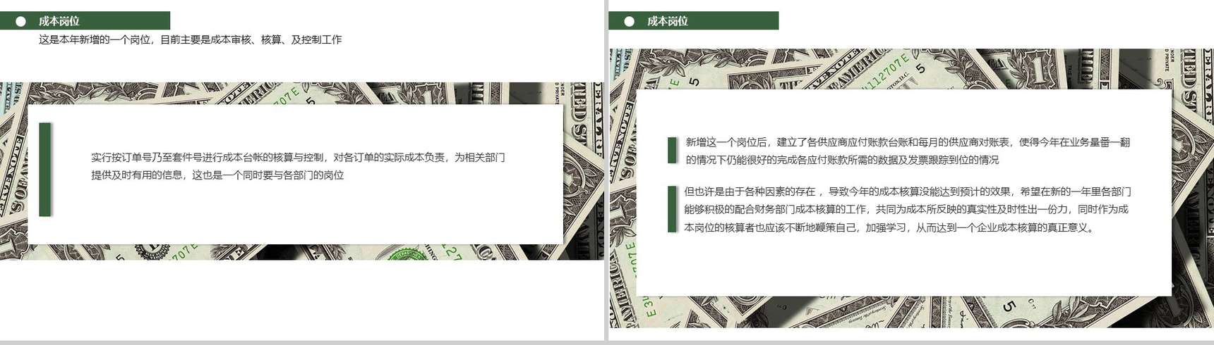 个人年度财务工作辞职报告工作汇报PPT模板-11