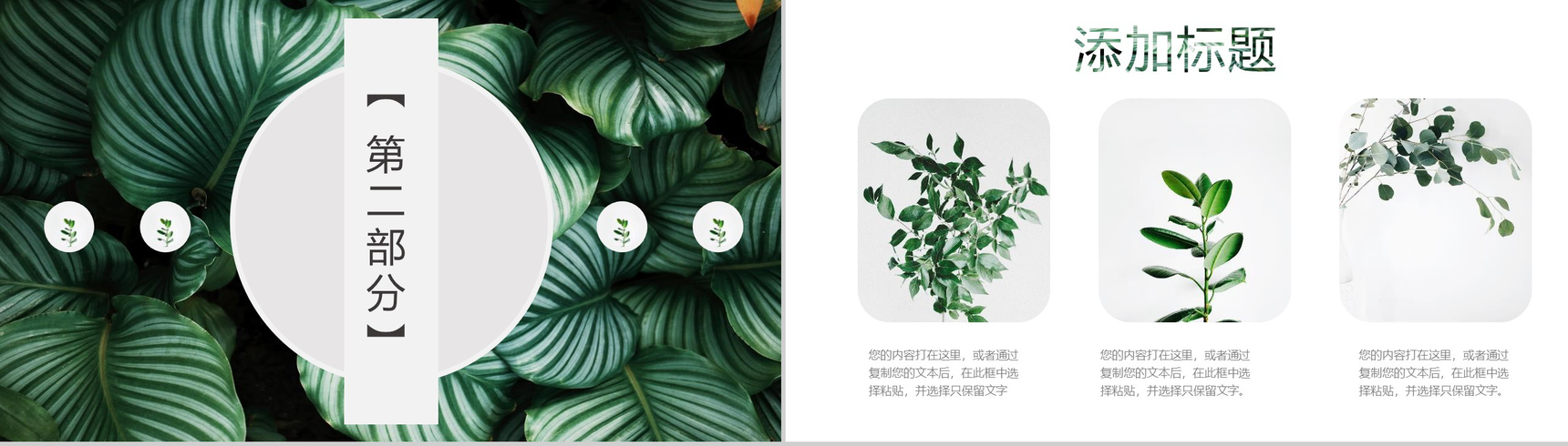 2020绿叶森系文艺工作总结PPT模板-4