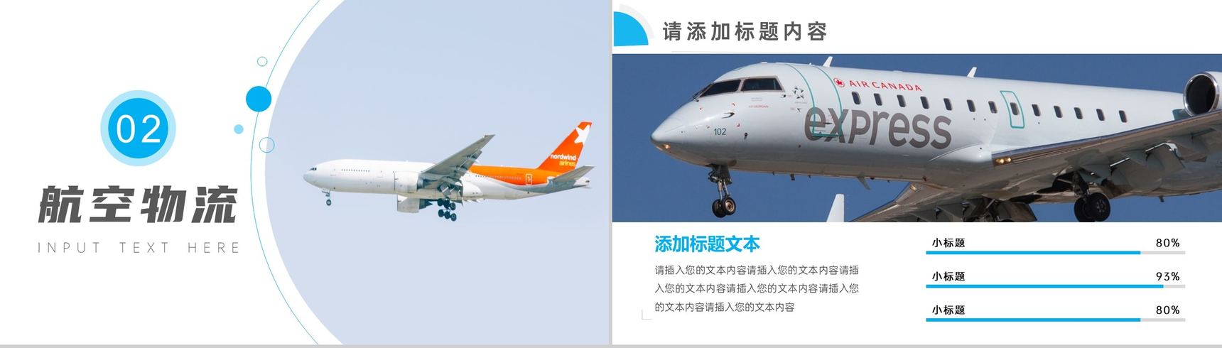 蓝白简洁航空物流项目计划总结PPT模板-4