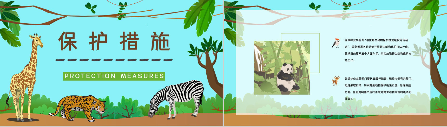 学生知识拓展至野生动物保护介绍学习主题班会世界动物日活动宣传讲解PPT模板-9