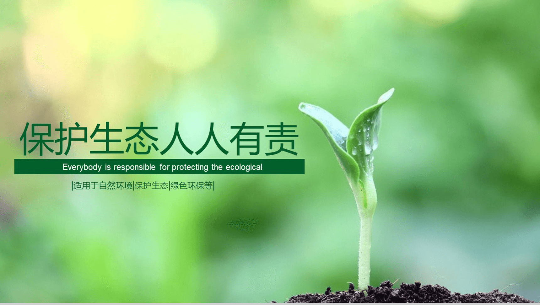 清新自然爱护环境绿色节能低碳环保PPT模板