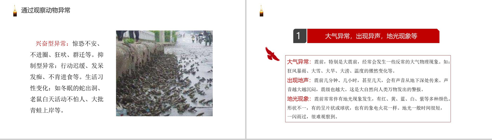 灰色震撼大气社会类地震安全知识教育普及PPT模板-6