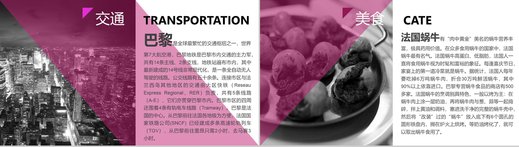 黑白绘画浪漫艺术欧洲介绍PPT模板-3