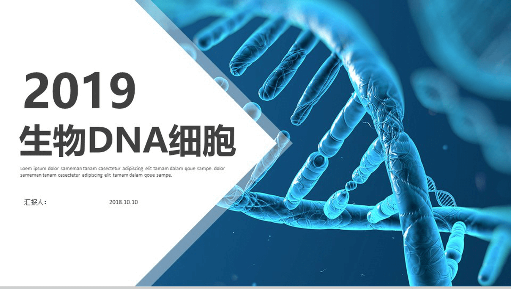 蓝色简洁生物DNA细胞医学研究PPT模板
