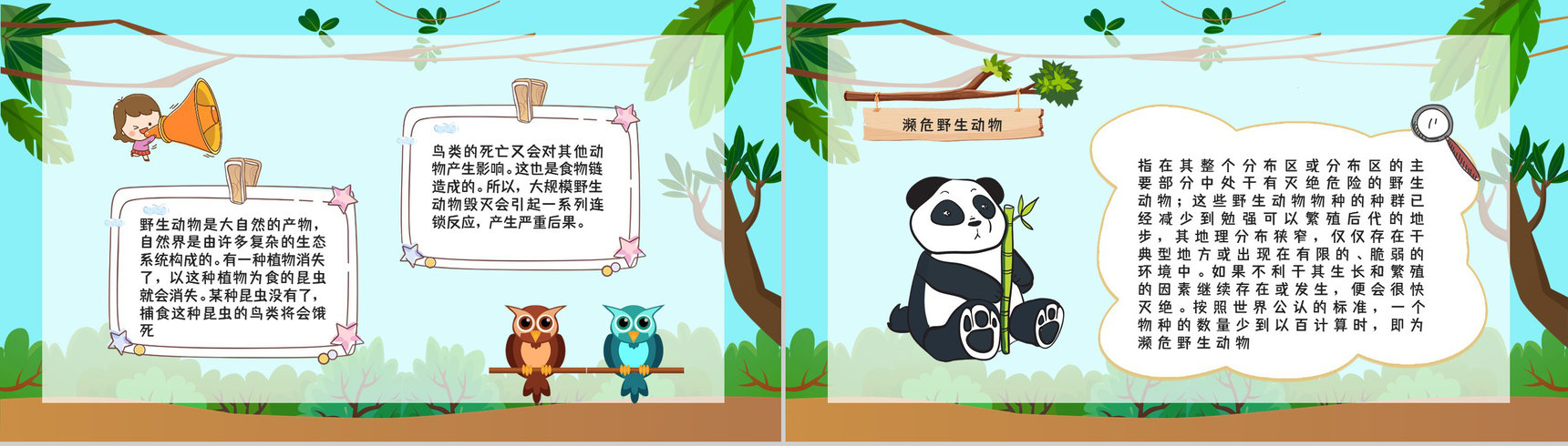 学生知识拓展至野生动物保护介绍学习主题班会世界动物日活动宣传讲解PPT模板-8