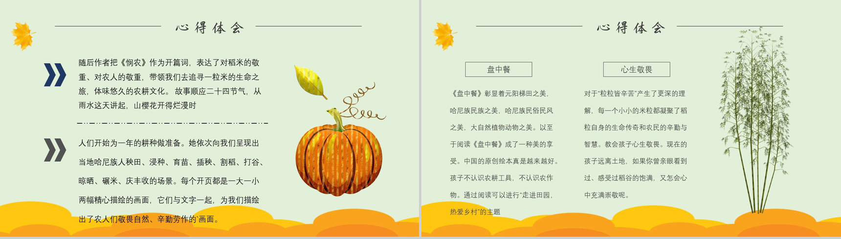 中学必读名著导读《盘中餐》作品内容简介心得体会PPT模板-3