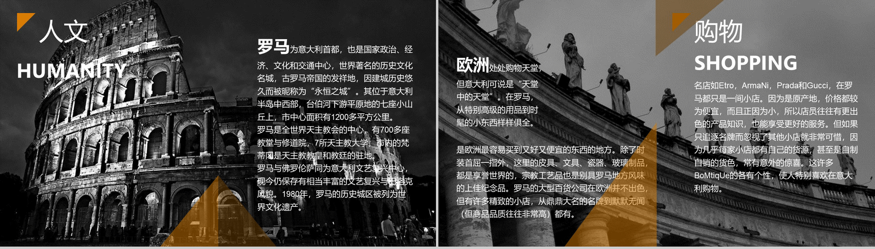 黑白绘画浪漫艺术欧洲介绍PPT模板-9