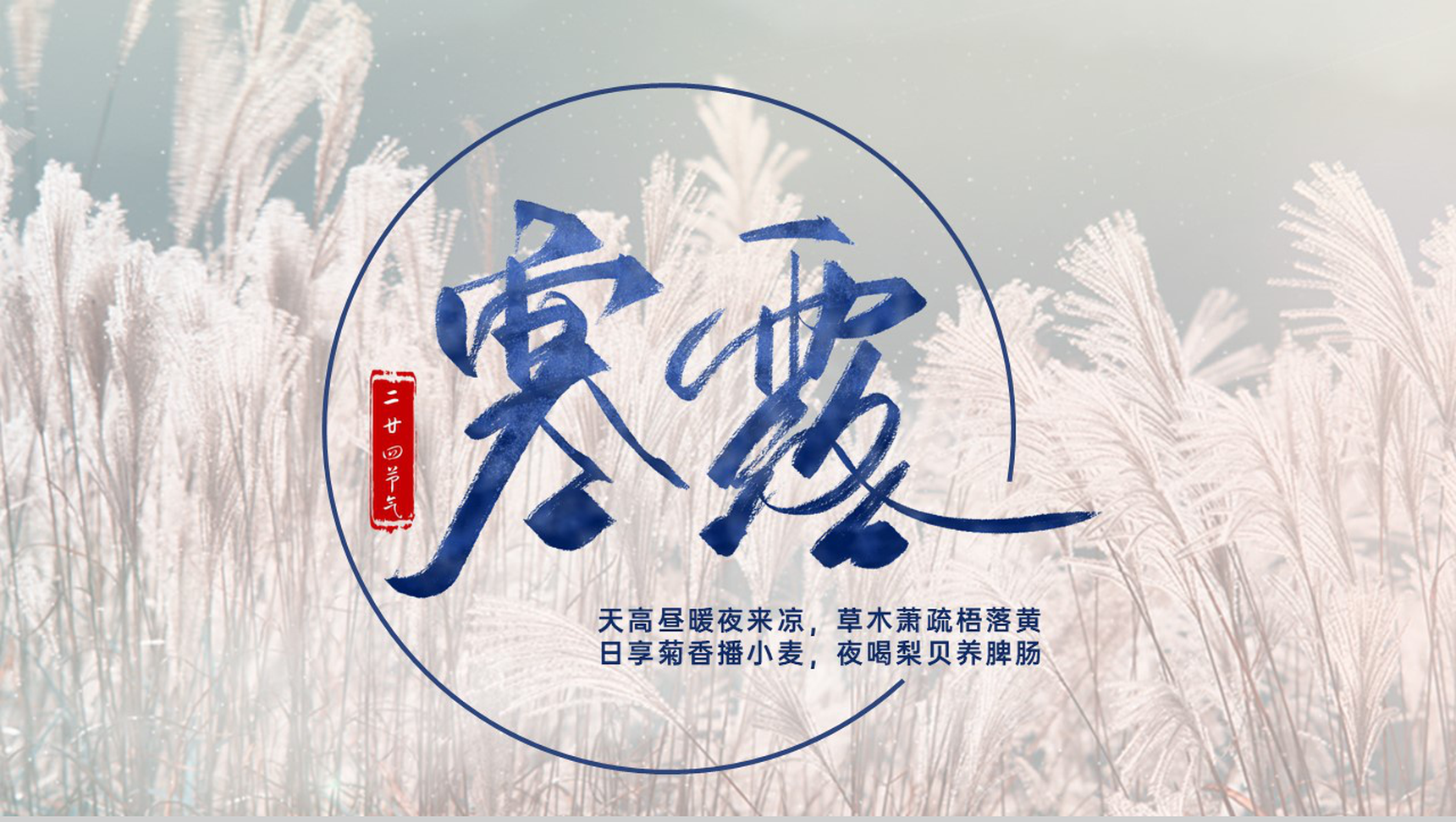 白色简约寒露传统节气主题工作总结汇报PPT模板-1