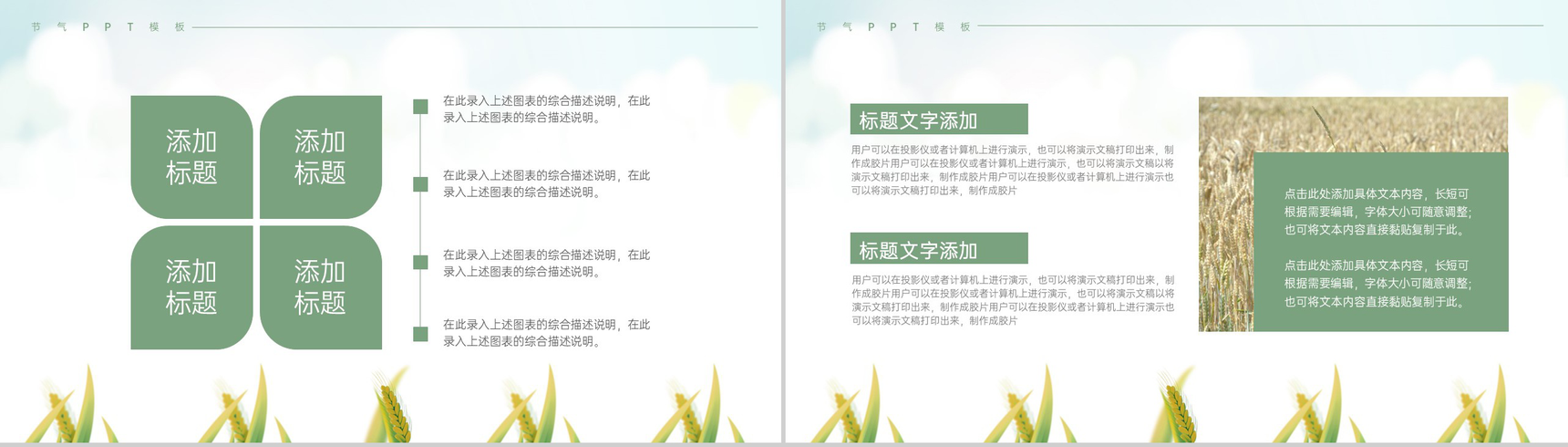 浅绿色简约风麦穗收获二十四节气夏至介绍由来PPT模板-7