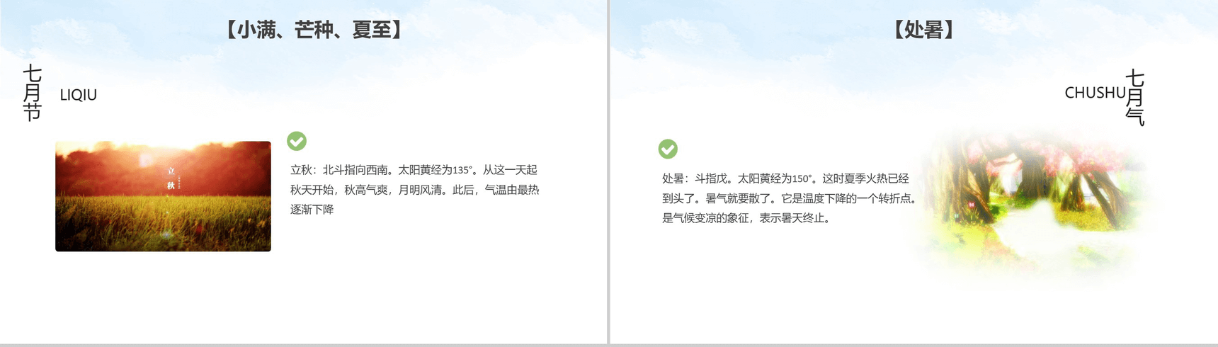 绿色简约大气二十四节气介绍主题班会PPT模板-8