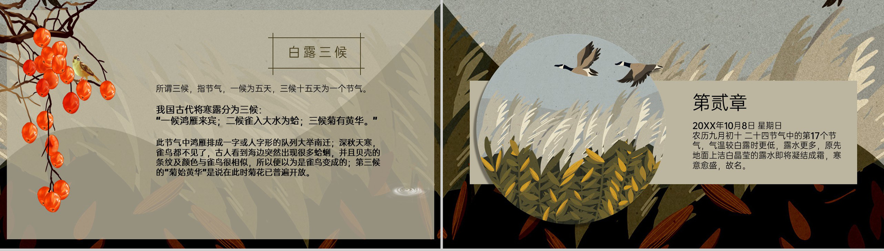茶色简约卡通风寒露节气的气候特征介绍PPT模板-4