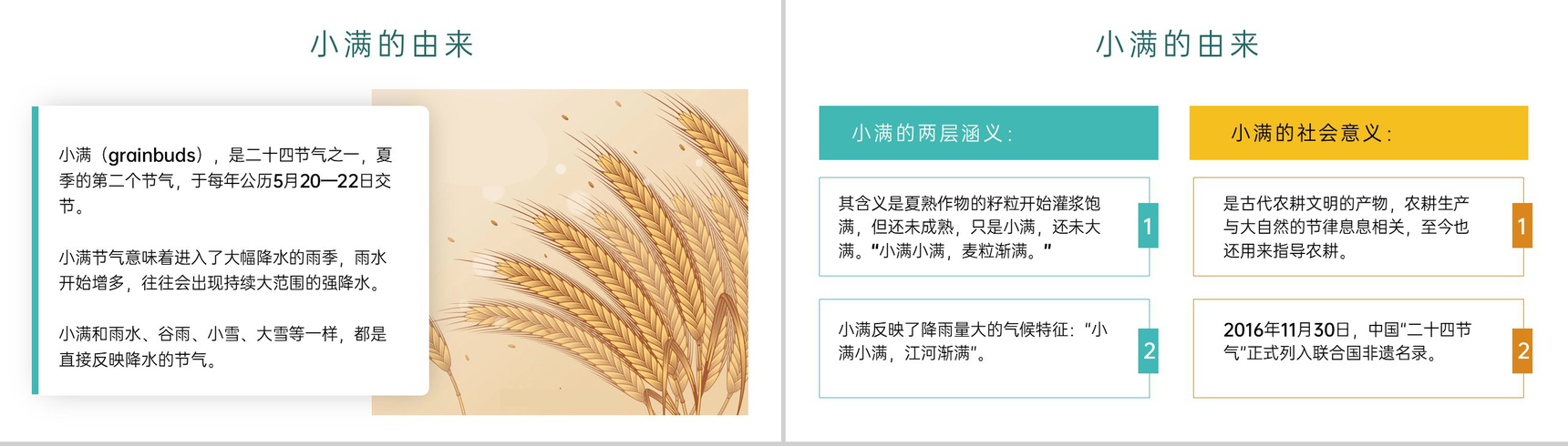 黄绿简约风二十四节气之小满介绍主题班会PPT模板-3