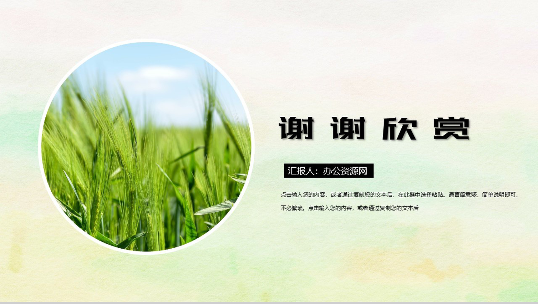 绿色简约清新二十四节气之芒种PPT模板-11
