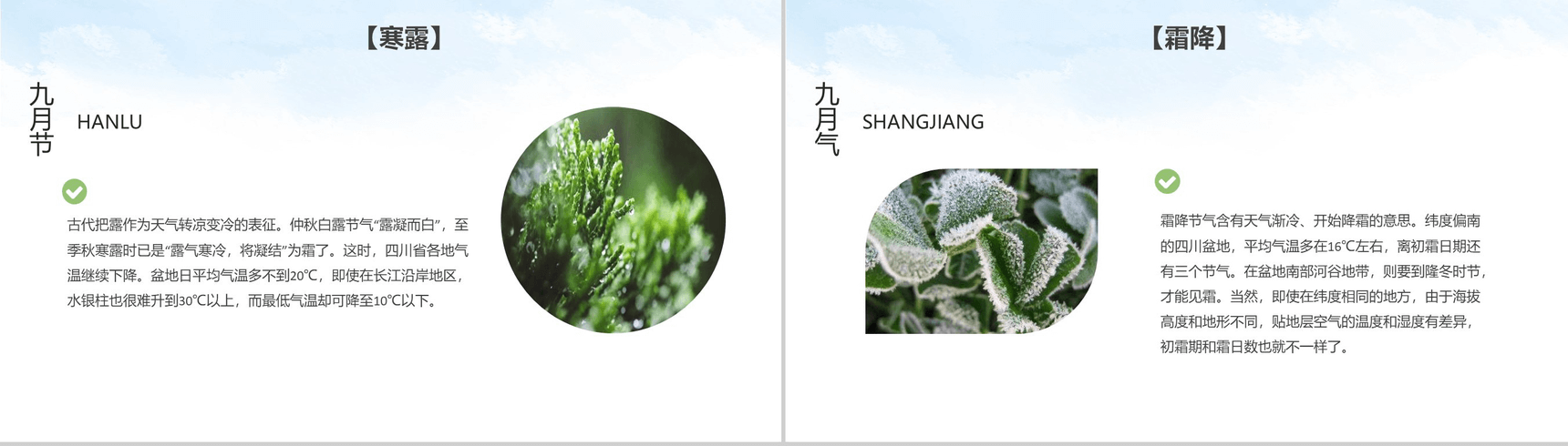 绿色简约大气二十四节气介绍主题班会PPT模板-10