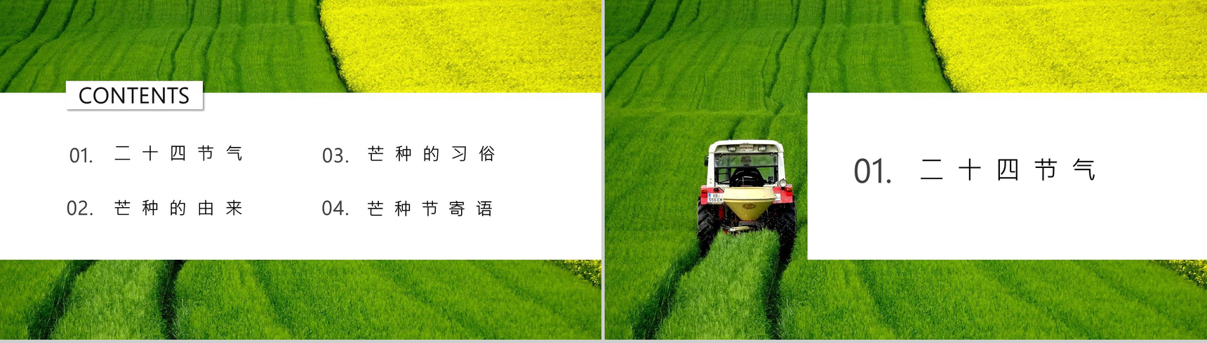 简约风芒种节日介绍PPT模板-2