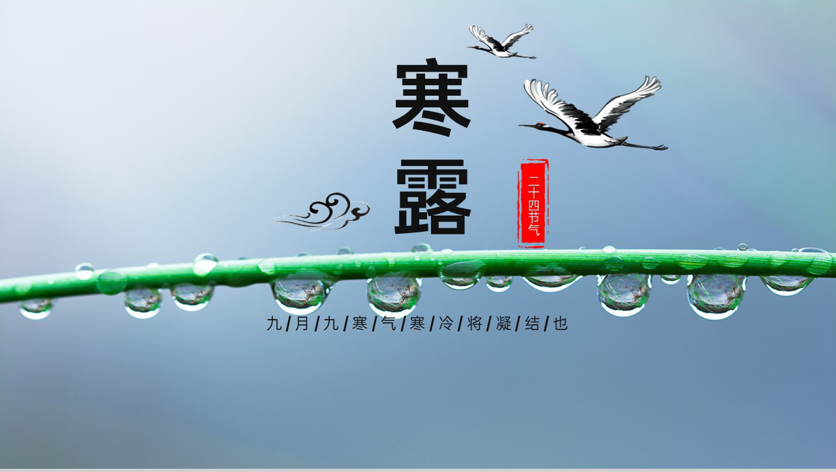 蓝色二十四节气之寒露节气习俗介绍专题PPT模板-1