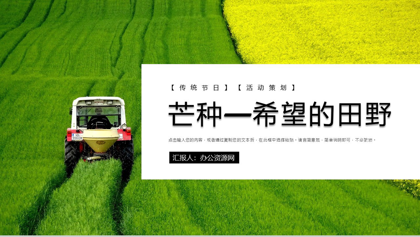 简约风芒种节日介绍PPT模板-1
