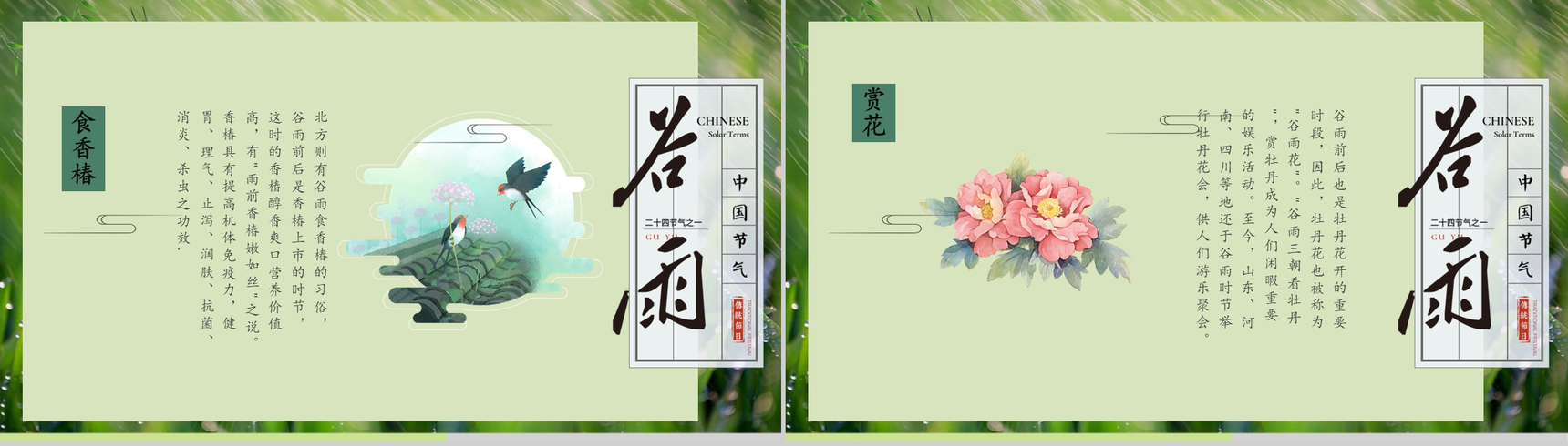 中国传统节气谷雨教育普及PPT模板-10