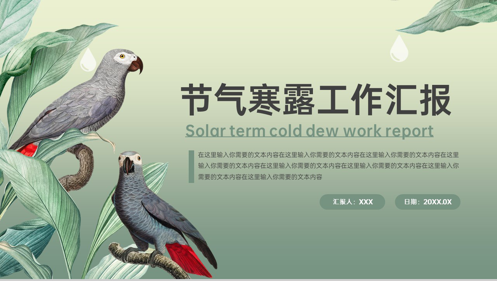 军绿色小清新寒露节气主题未来工作规划PPT模板