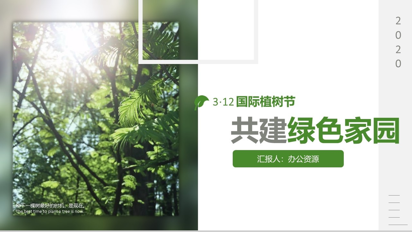 3.12国际植树节共创绿色家园PPT模板