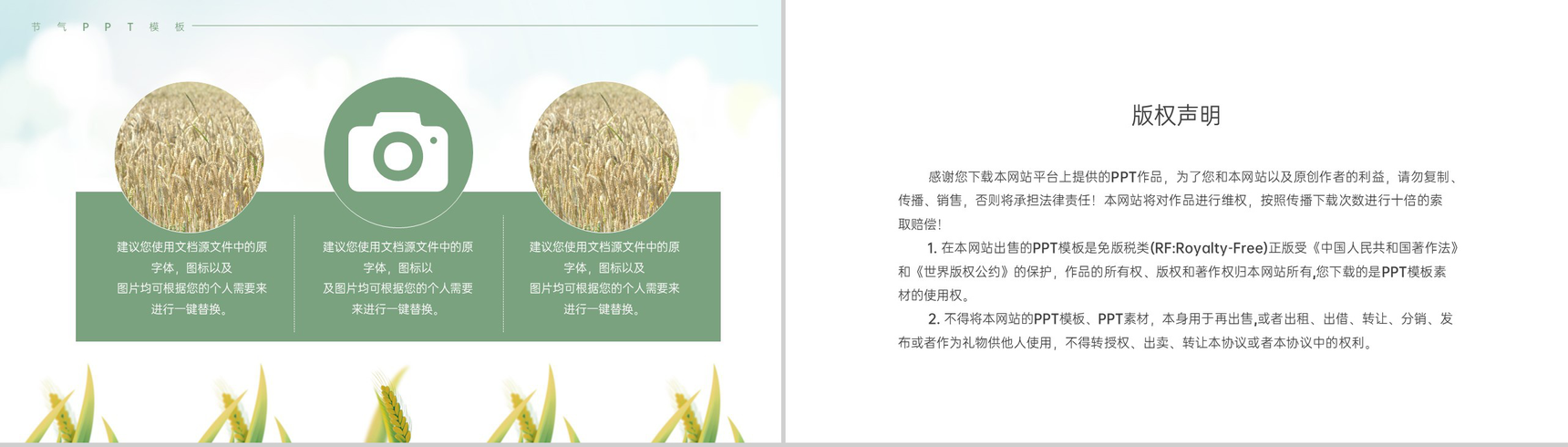 浅绿色简约风麦穗收获二十四节气夏至介绍由来PPT模板-9
