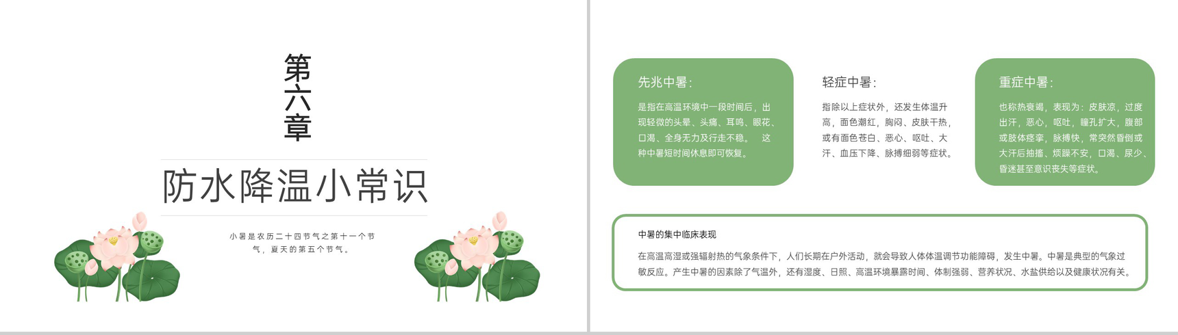 浅绿色中国风传统二十四节气之小暑简介教学课件PPT模板-13