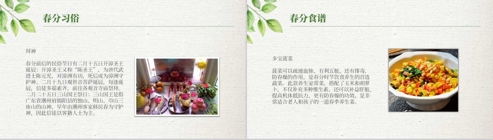 绿色清新简约春分节气材料收集PPT模板-6