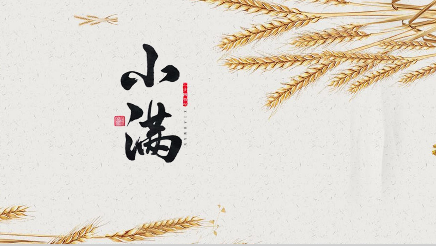 金色稻香风二十四节气小满由来背景介绍PPT模板-6