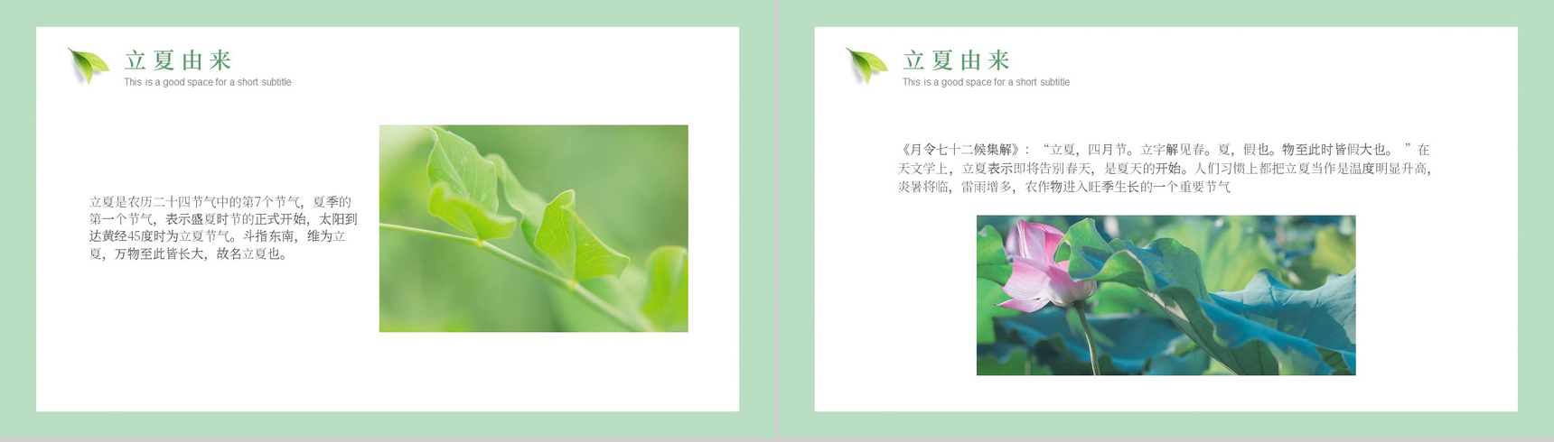 绿色清新传统二十四节气之立夏节气介绍PPT模板-3