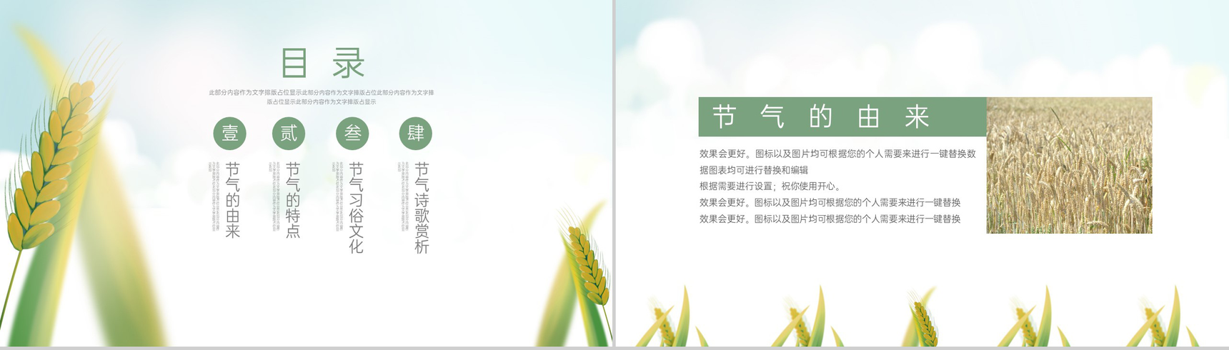 浅绿色简约风麦穗收获二十四节气夏至介绍由来PPT模板-2