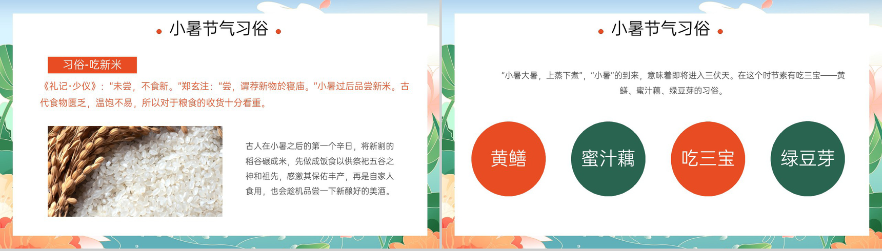 绿色卡通风中国传统二十四节气小暑主题教育PPT模板-9