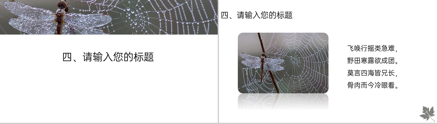 灰色简约风传统节气寒露主题工作汇报总结PPT模板-8