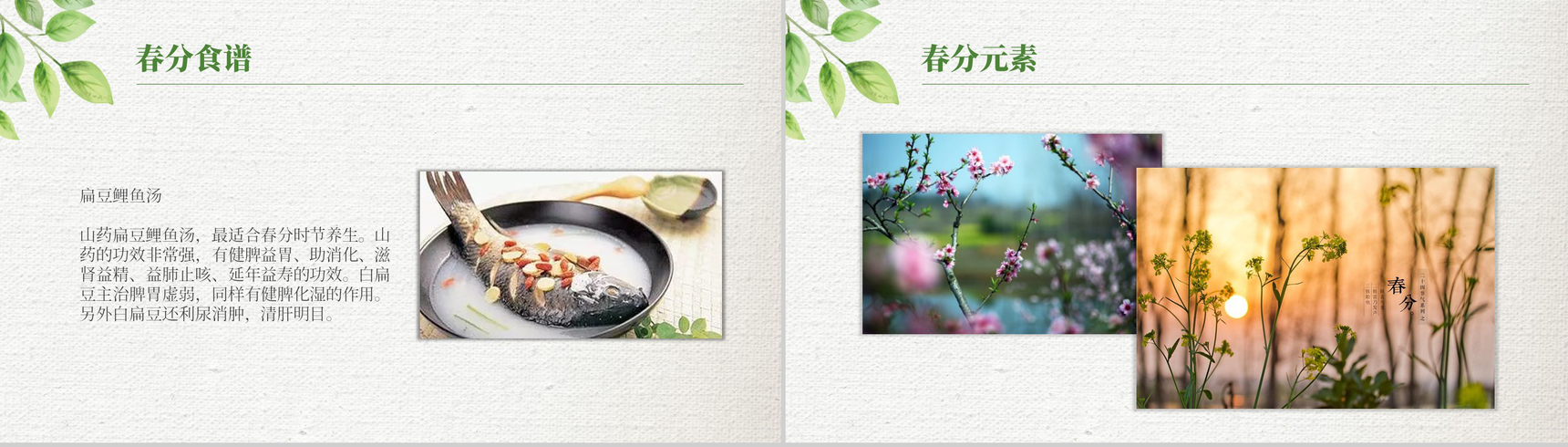 绿色清新简约春分节气材料收集PPT模板-8