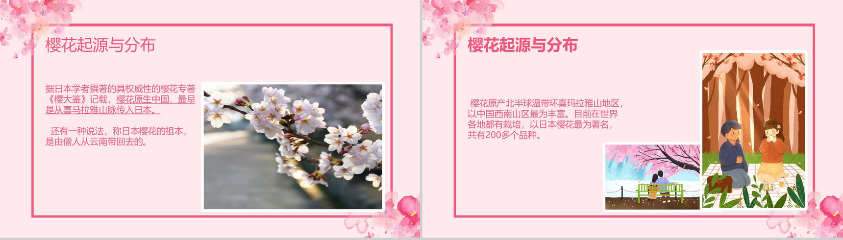 粉色唯美清新浪漫樱花节PPT模板-4