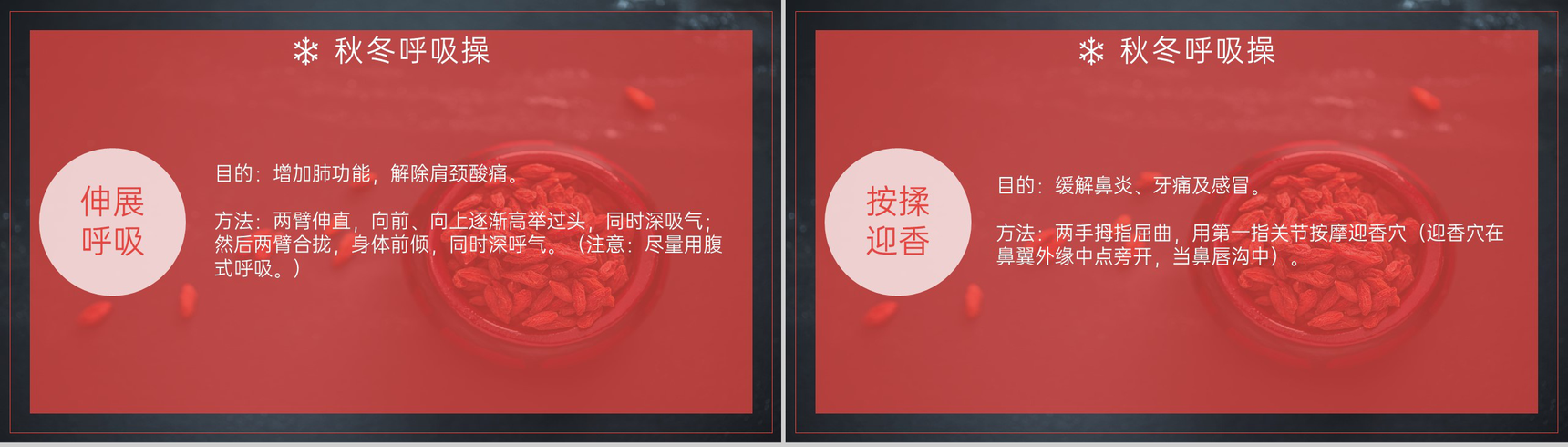 红色简约风冬季冬至健康养生主题讲座PPT模板-11