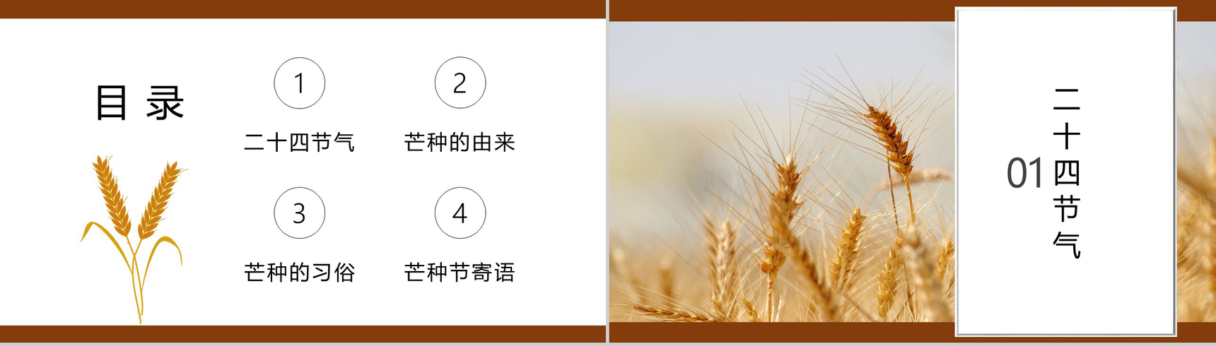 白色简约风芒种习俗介绍PPT模板-2