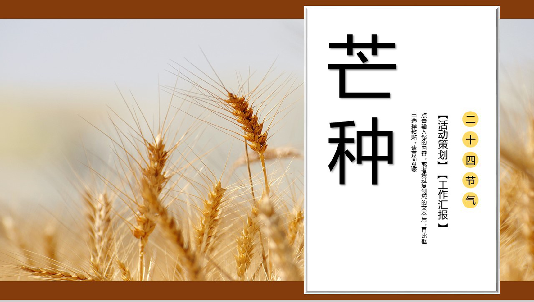 白色简约风芒种习俗介绍PPT模板-1