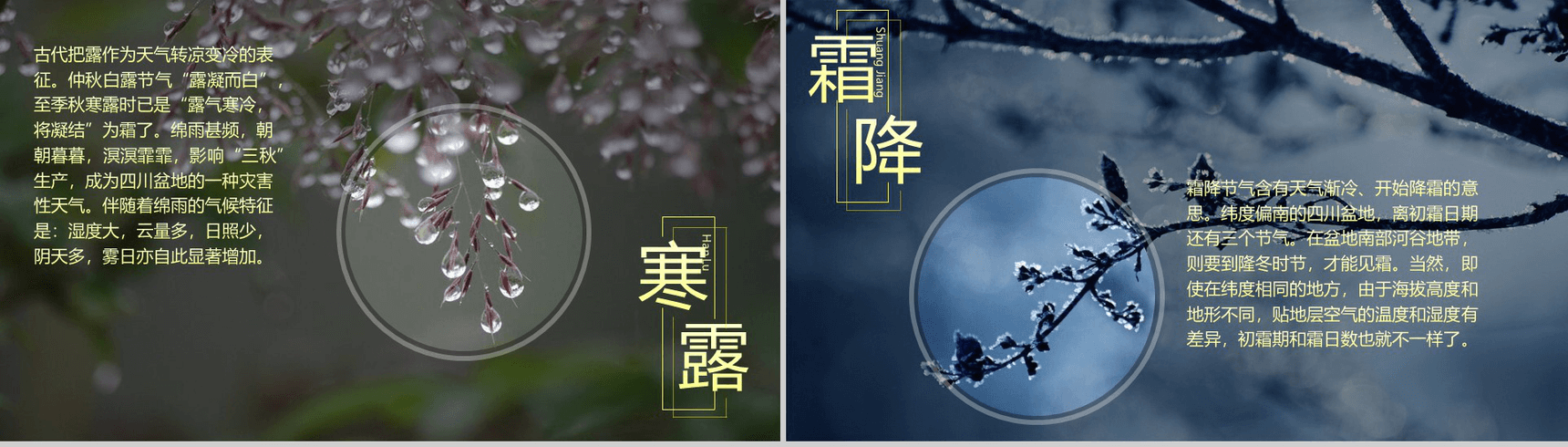 唯美大气商务二十四节气演讲介绍PPT模板-10