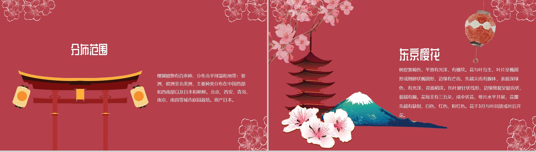 手绘风格醉美樱花PPT模板-6