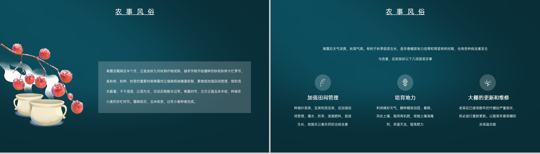 蓝色中国风传统节气介绍之寒露的物候特征PPT模板-7