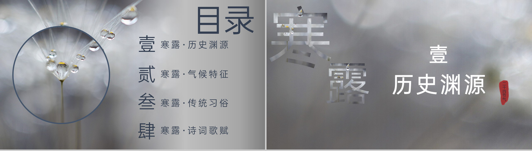 灰色创意简约风二十四节气寒露历史渊源介绍PPT模板-2