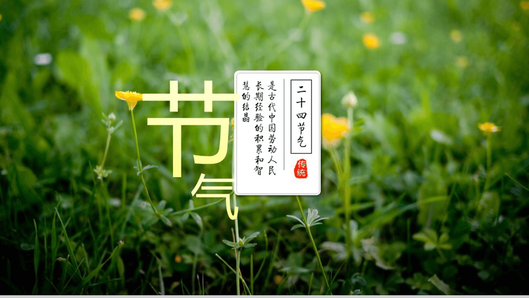 唯美大气商务二十四节气演讲介绍PPT模板-14