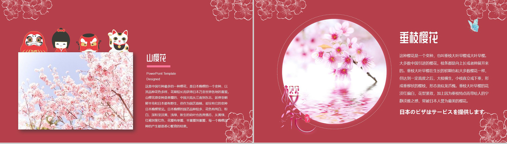 手绘风格醉美樱花PPT模板-8