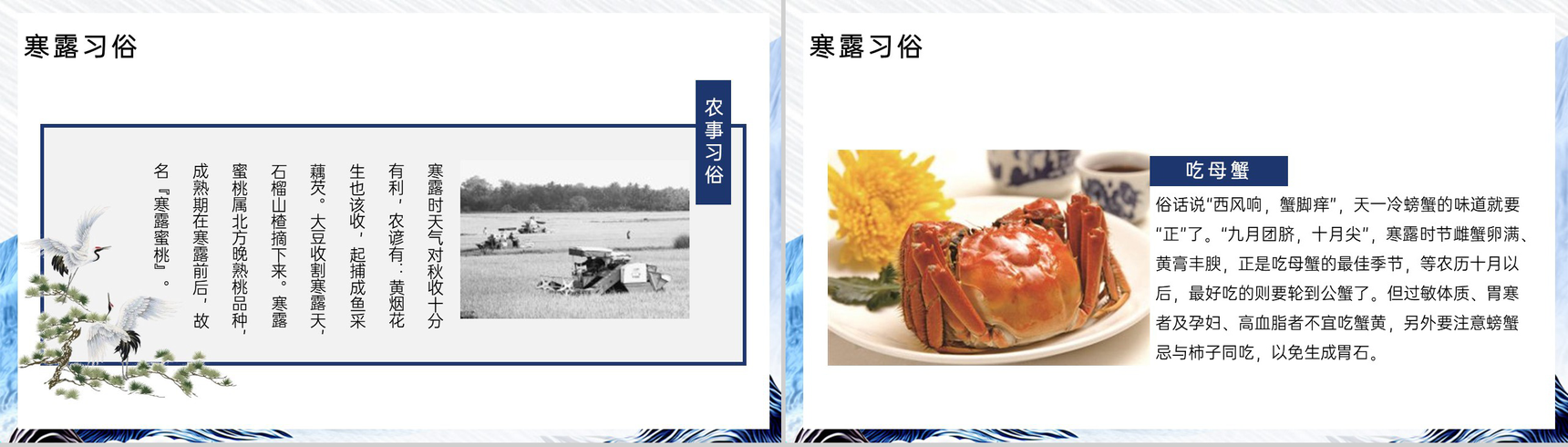 淡蓝水墨风寒露节气介绍寒露的习俗PPT模板-7