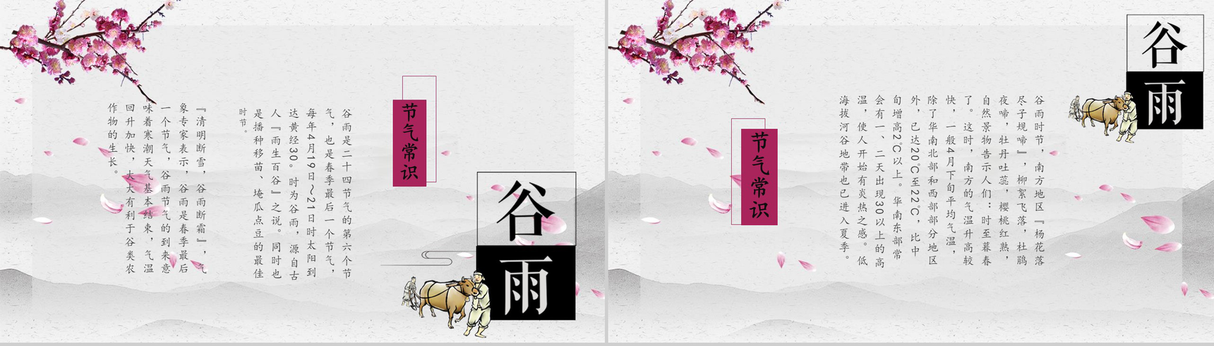 唯美清新二十四节气谷雨教学课件PPT模板-3