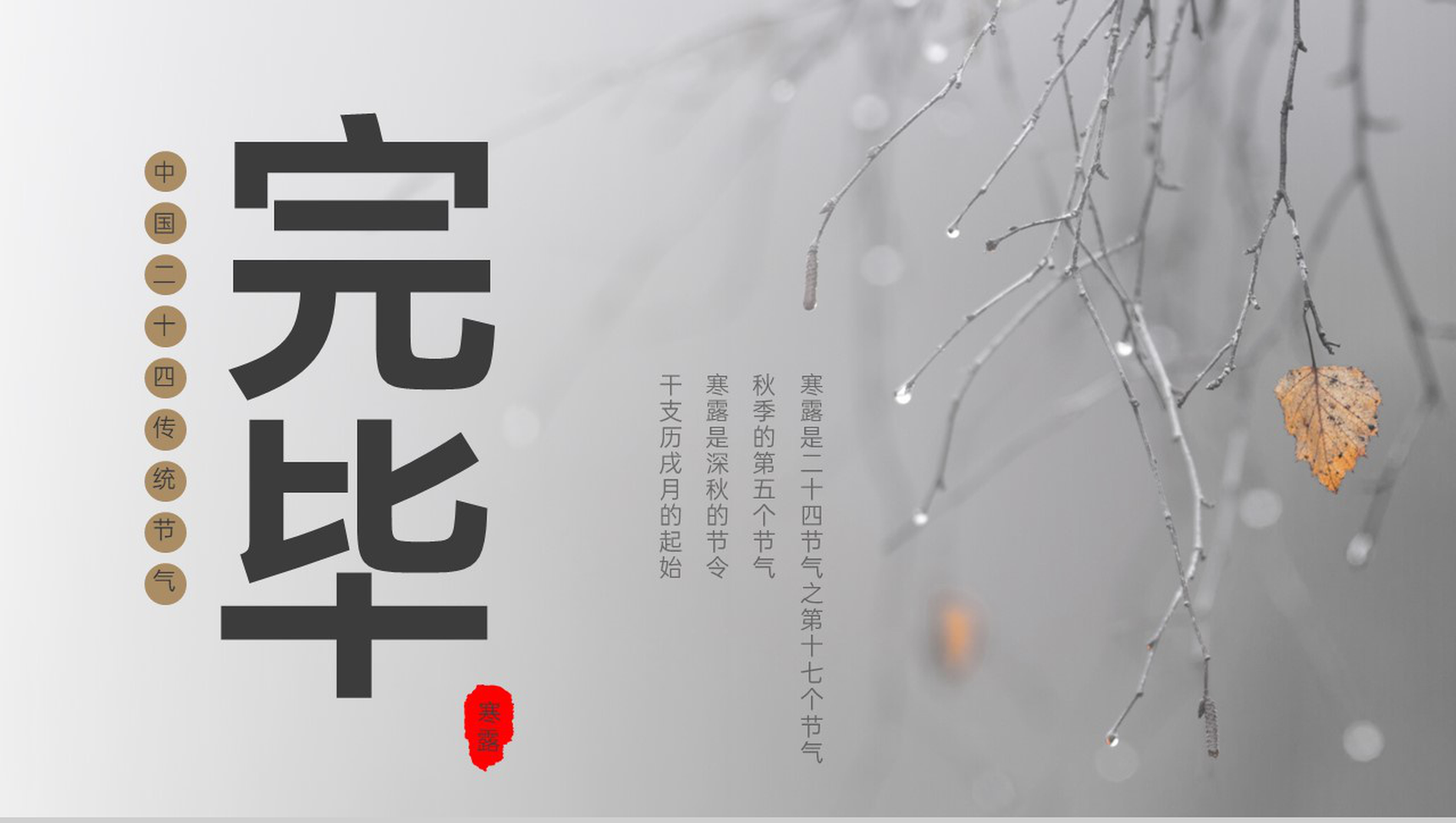灰色简约中国风二十四节气寒露节气文化介绍PPT模板-11